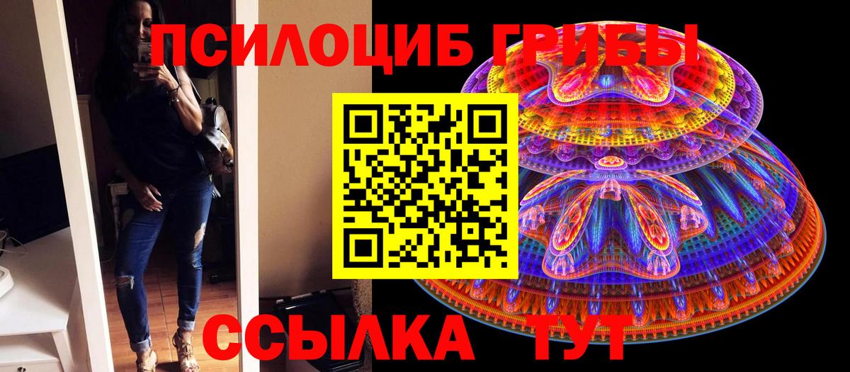 Псилоцибиновые грибы мухоморы Кириши
